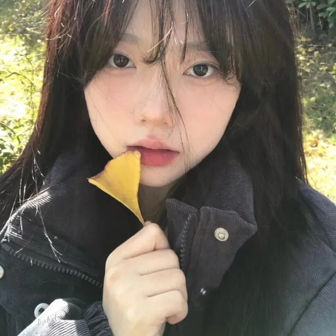 荼靡